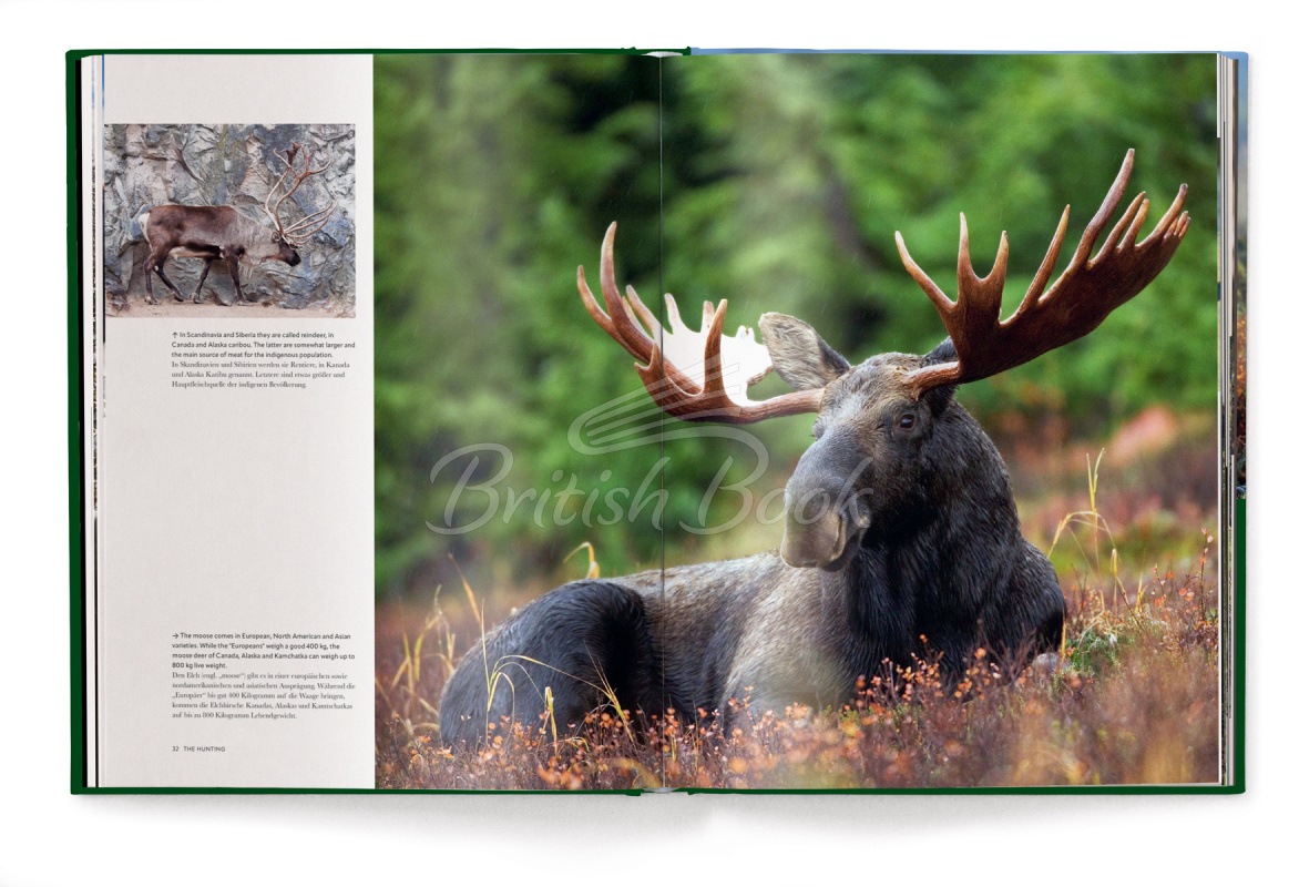 Книга Hunting: The Ultimate Book зображення 4