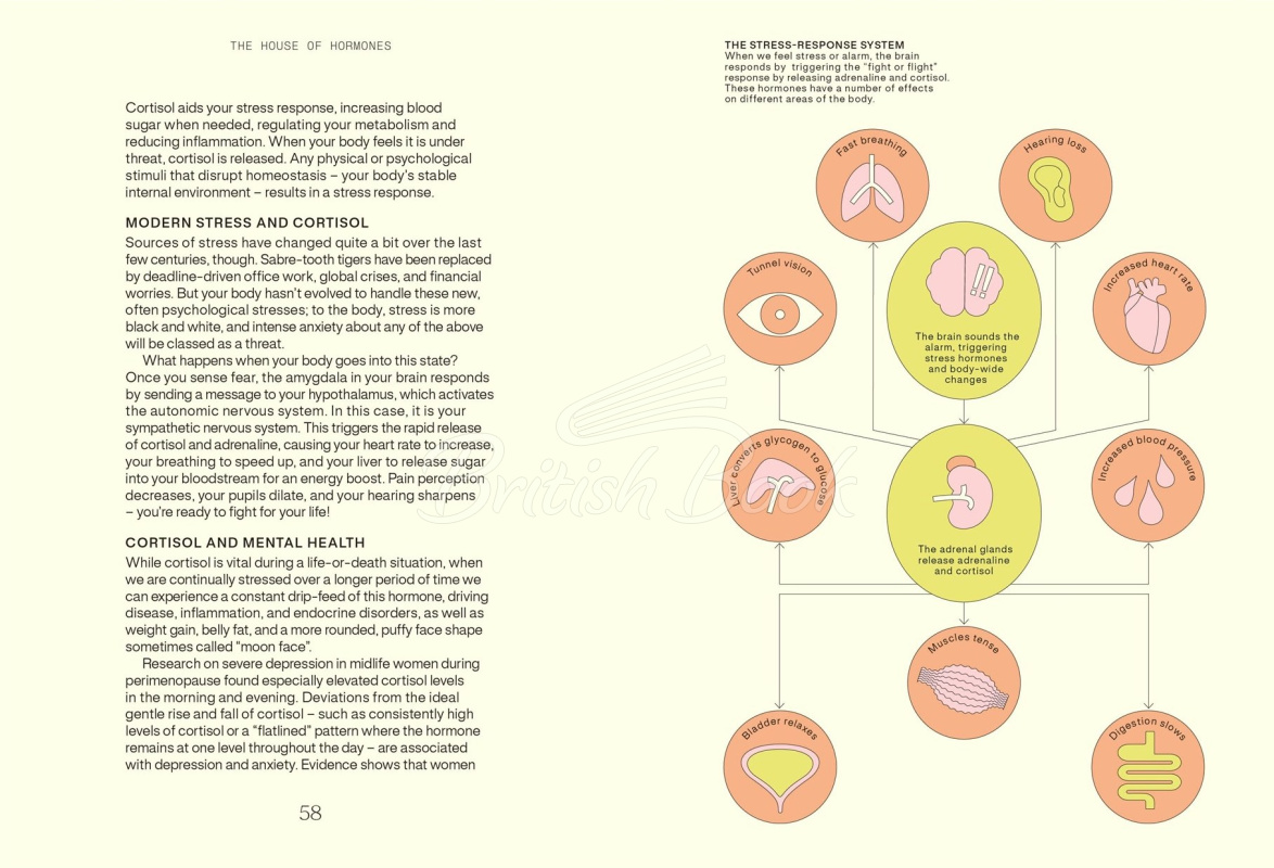 Книга Everything I Know about Hormones зображення 1