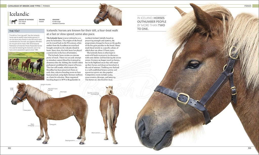 Книга The Horse Encyclopedia зображення 6