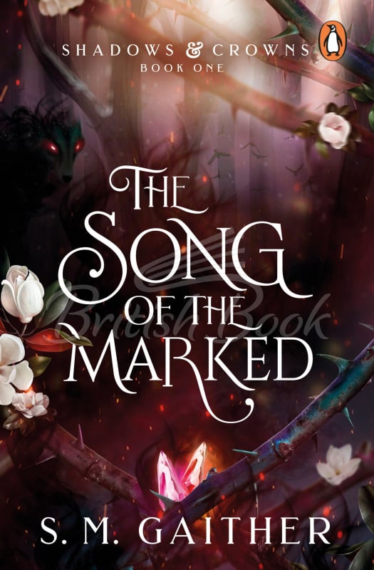 Книга The Song of the Marked зображення