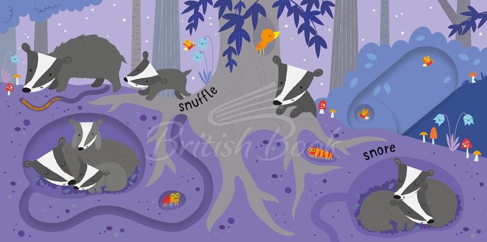 Книга Slide and See: Night Time изображение 3