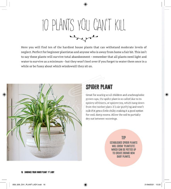 Книга Plant Lady изображение 2