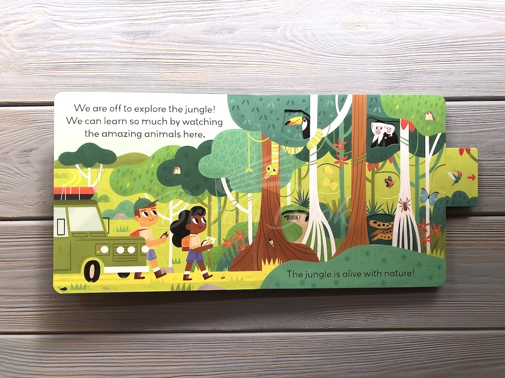 Книга Little World- Jungle Journey изображение 2