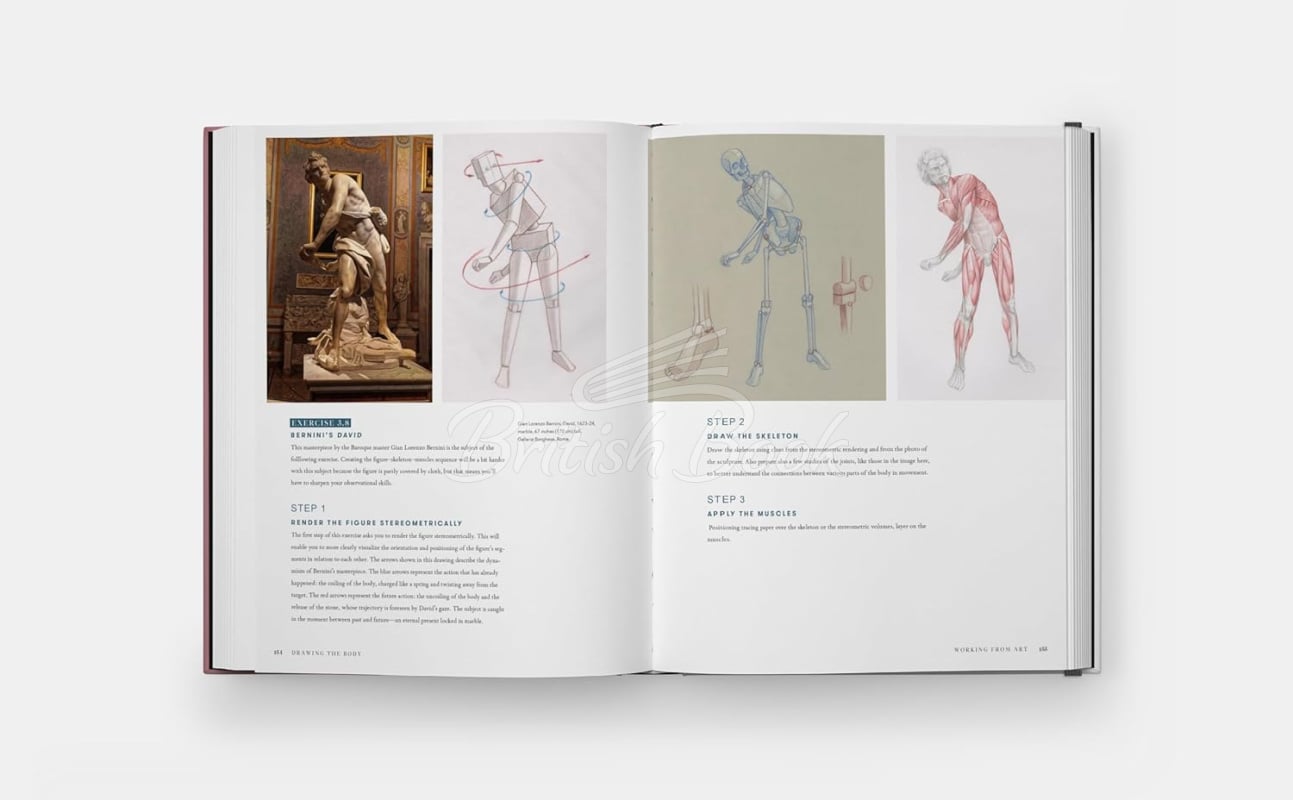 Книга Drawing the Body: Reading the Human Form in Art зображення 6