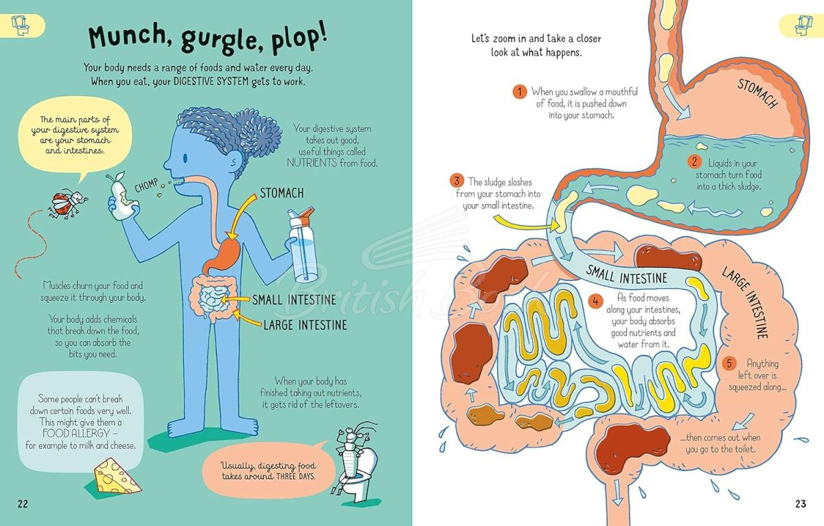 Книга All You Need to Know about Your Body by Age 7 изображение 2