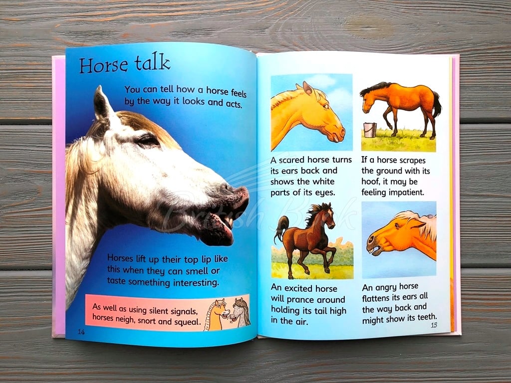Книга Usborne Beginners Horses and Ponies зображення 4