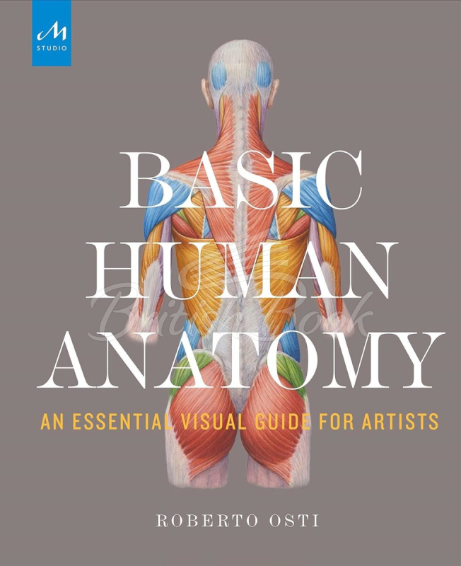 Книга Basic Human Anatomy: An Essential Visual Guide for Artists зображення