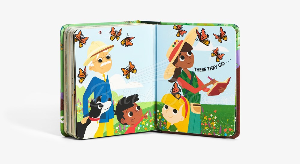 Книга Bugblock изображение 5