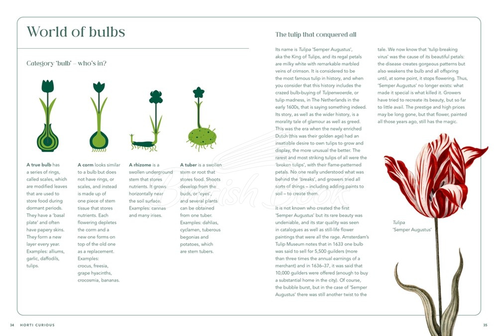Книга RHS Horti Curious: A Gardener's Miscellany of Fascinating Facts & Remarkable Plants зображення 1