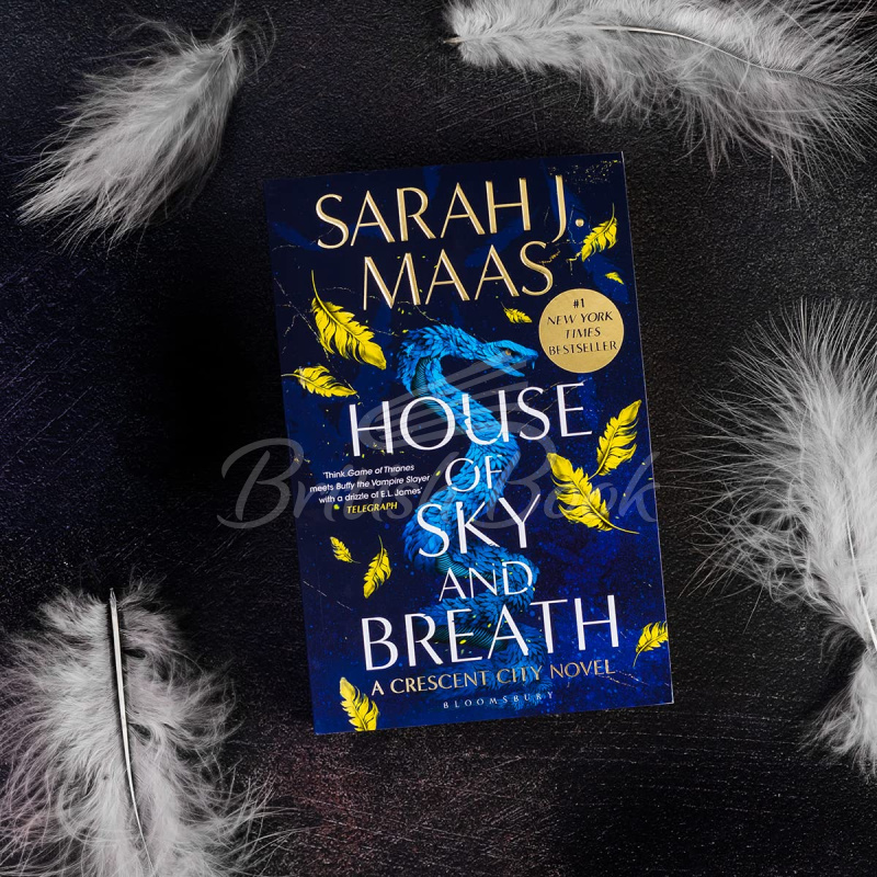 Книга House of Sky and Breath (Book 2) зображення 1