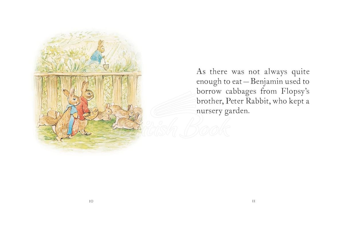 Книга My First Peter Rabbit Collection зображення 4
