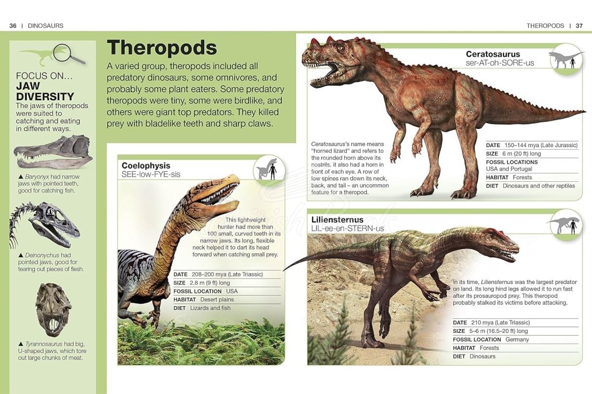 Книга Dinosaurs изображение 3