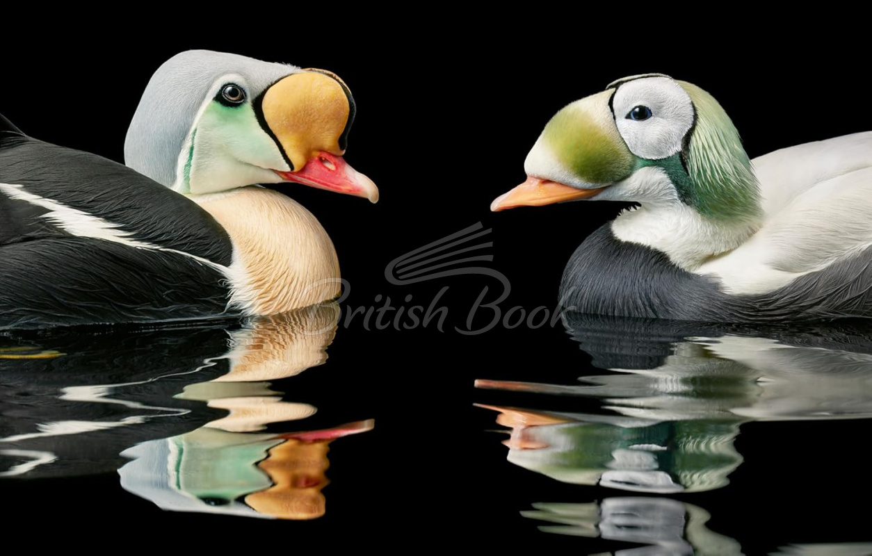 Книга Birds: Photographs изображение 3