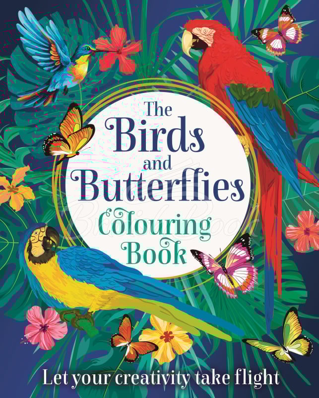 Книга The Birds and Butterflies Colouring Book зображення