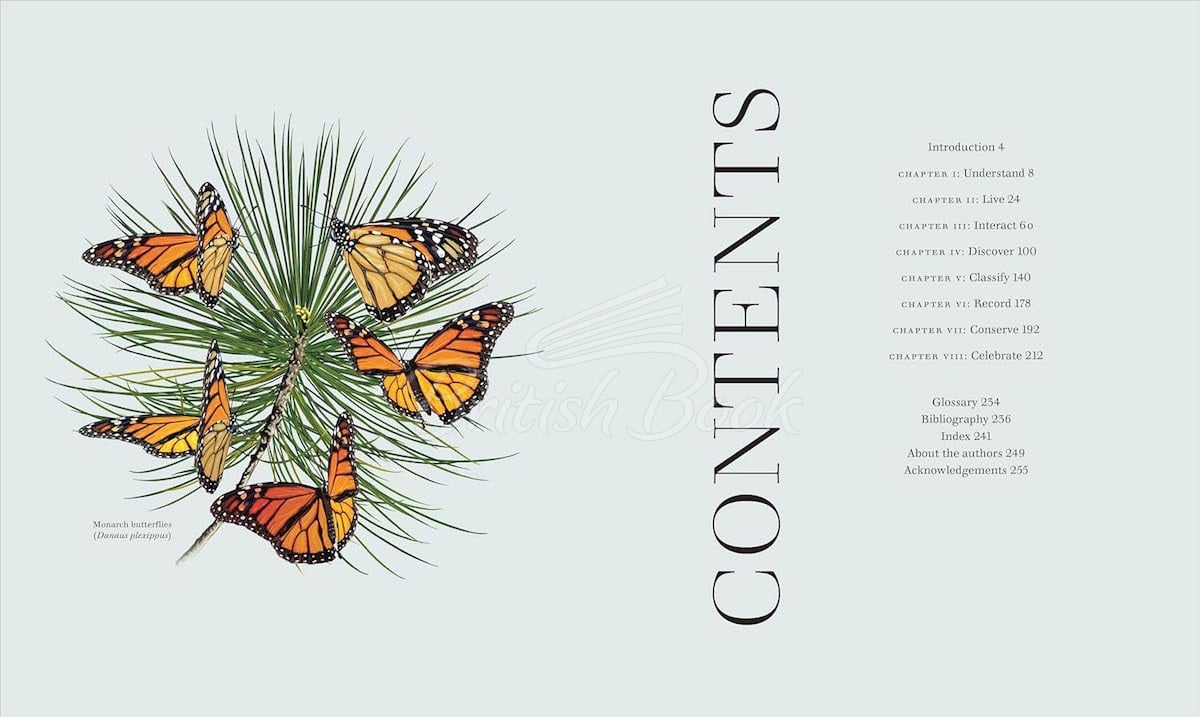 Книга Insects зображення 2