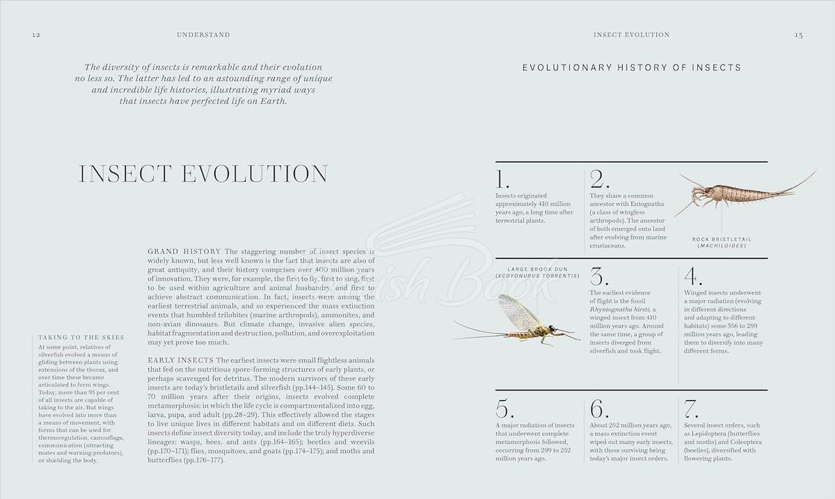 Книга Insects зображення 3