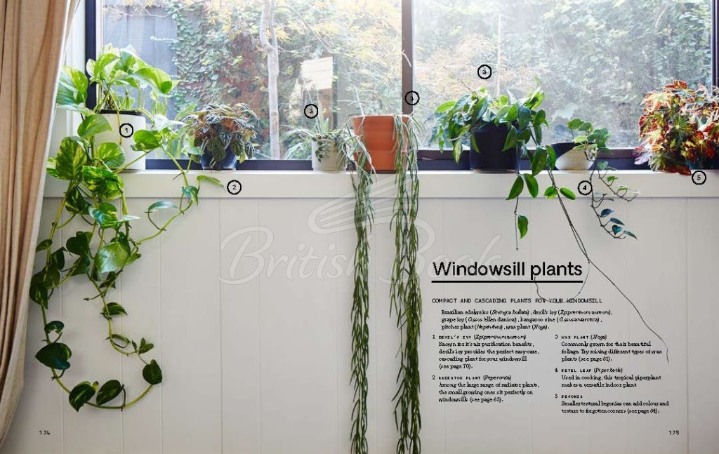 Книга Plant Society зображення 10