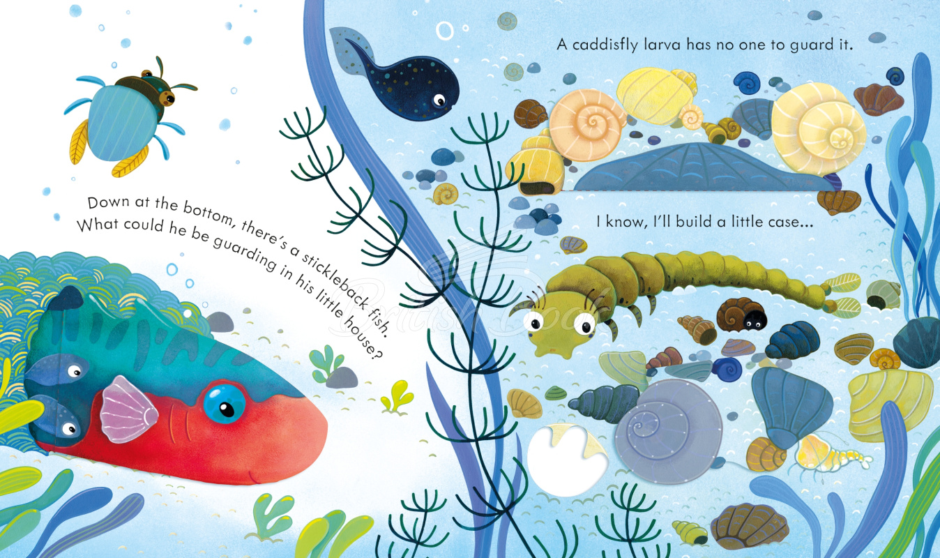 Книга Peep inside the Pond зображення 3