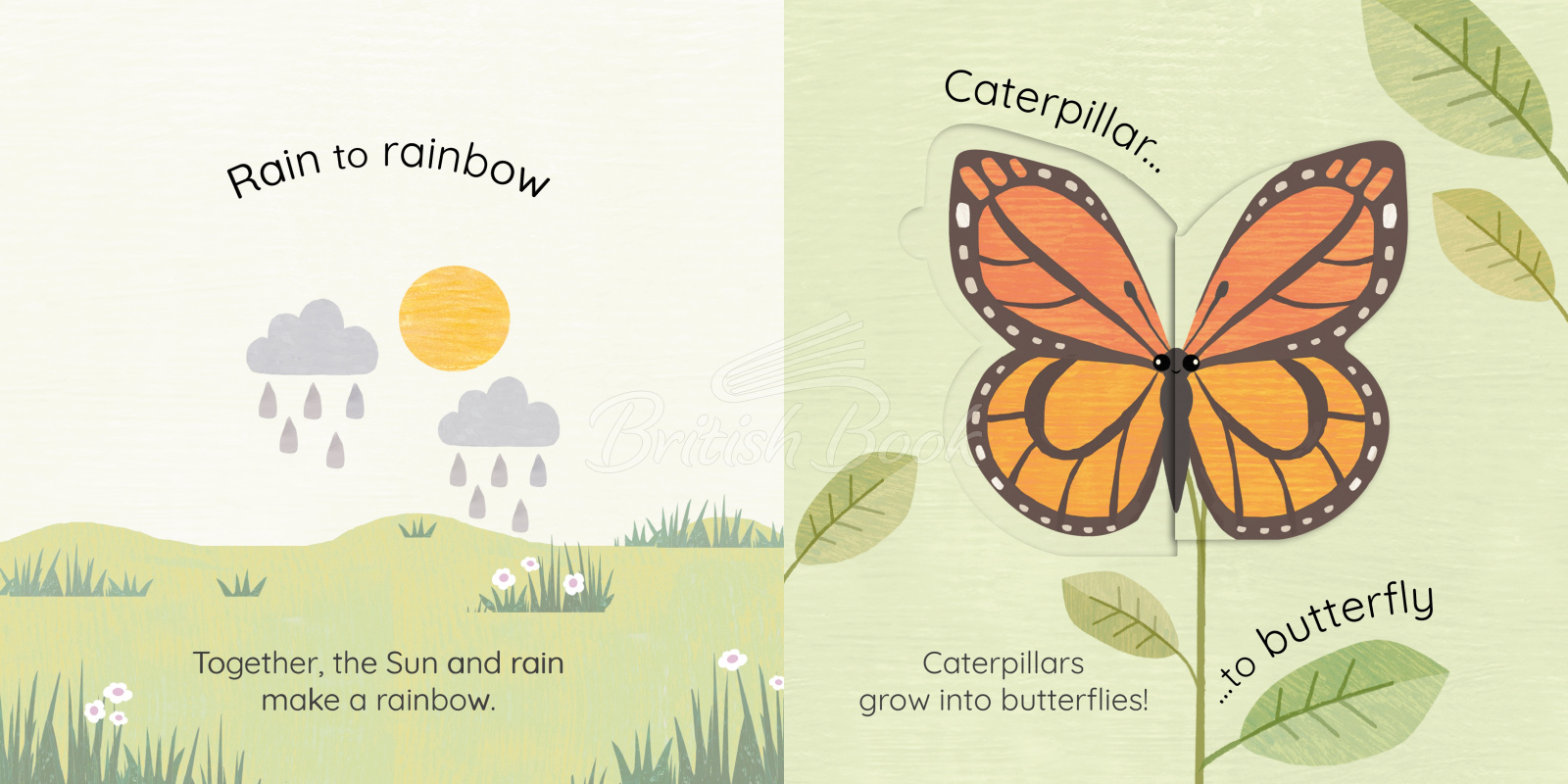 Книга All Change: A Book of Nature's Transformations изображение 1