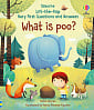 Lift-the-Flap Very First Questions and Answers: What is Poo?