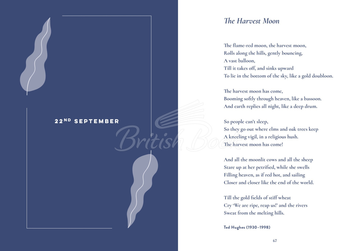 Книга A Nature Poem for Every Autumn Evening зображення 3