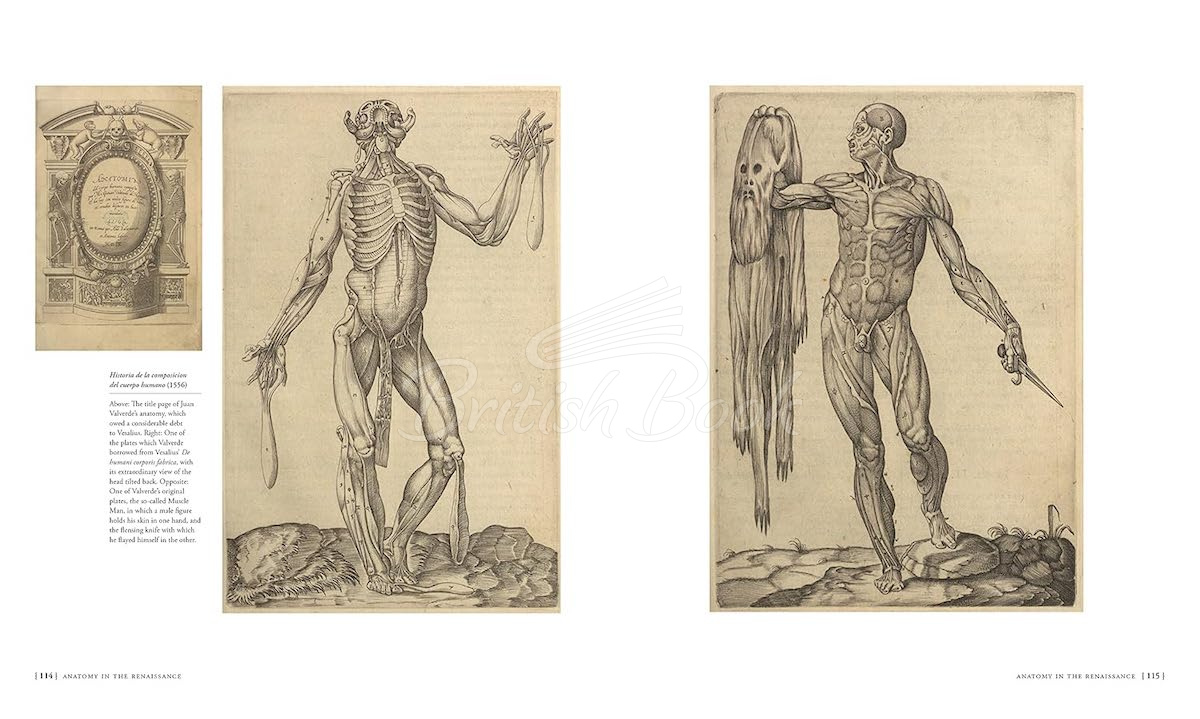 Книга The Anatomists' Library: The Books that Unlocked the Secrets of the Human Body зображення 3