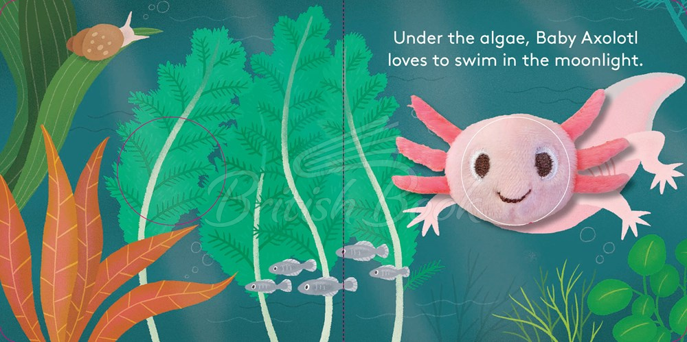 Книга Baby Axolotl Finger Puppet Book зображення 1