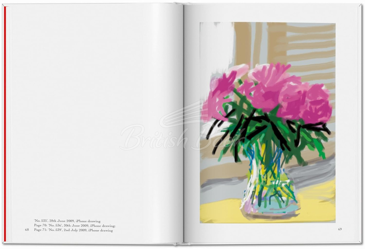 Книга David Hockney: My Window зображення 7