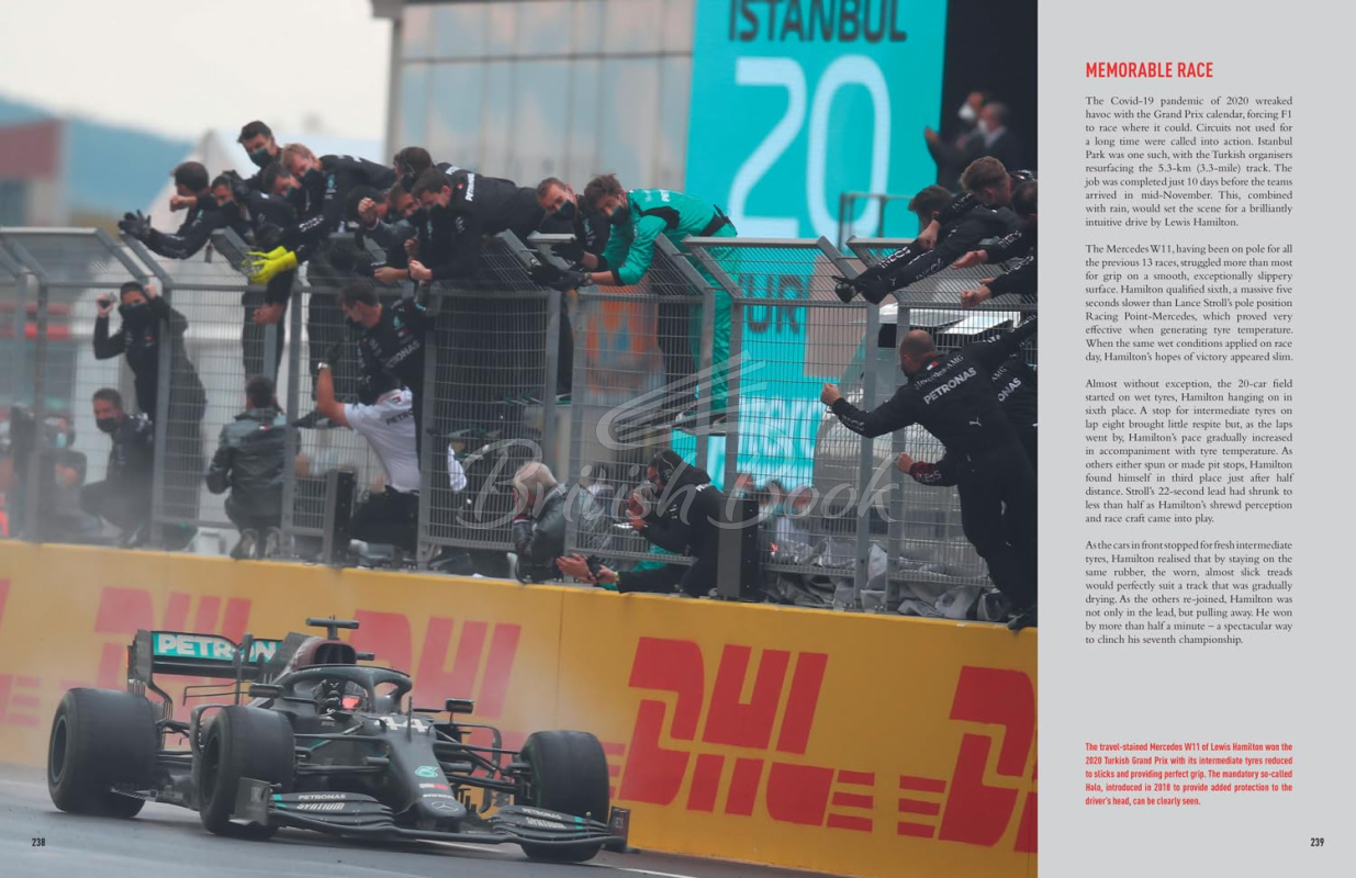 Книга Formula 1 Cars: The Greatest F1 Cars from 1950 to the Present Day зображення 6