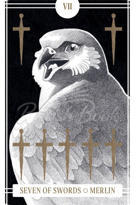 Карти таро The Avian Tarot зображення 1