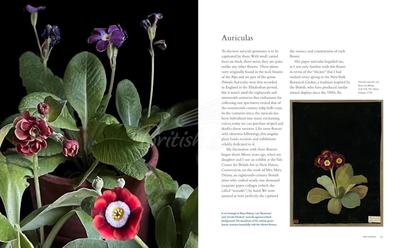 Книга Life with Flowers: Inspiration and Lessons from the Garden зображення 10