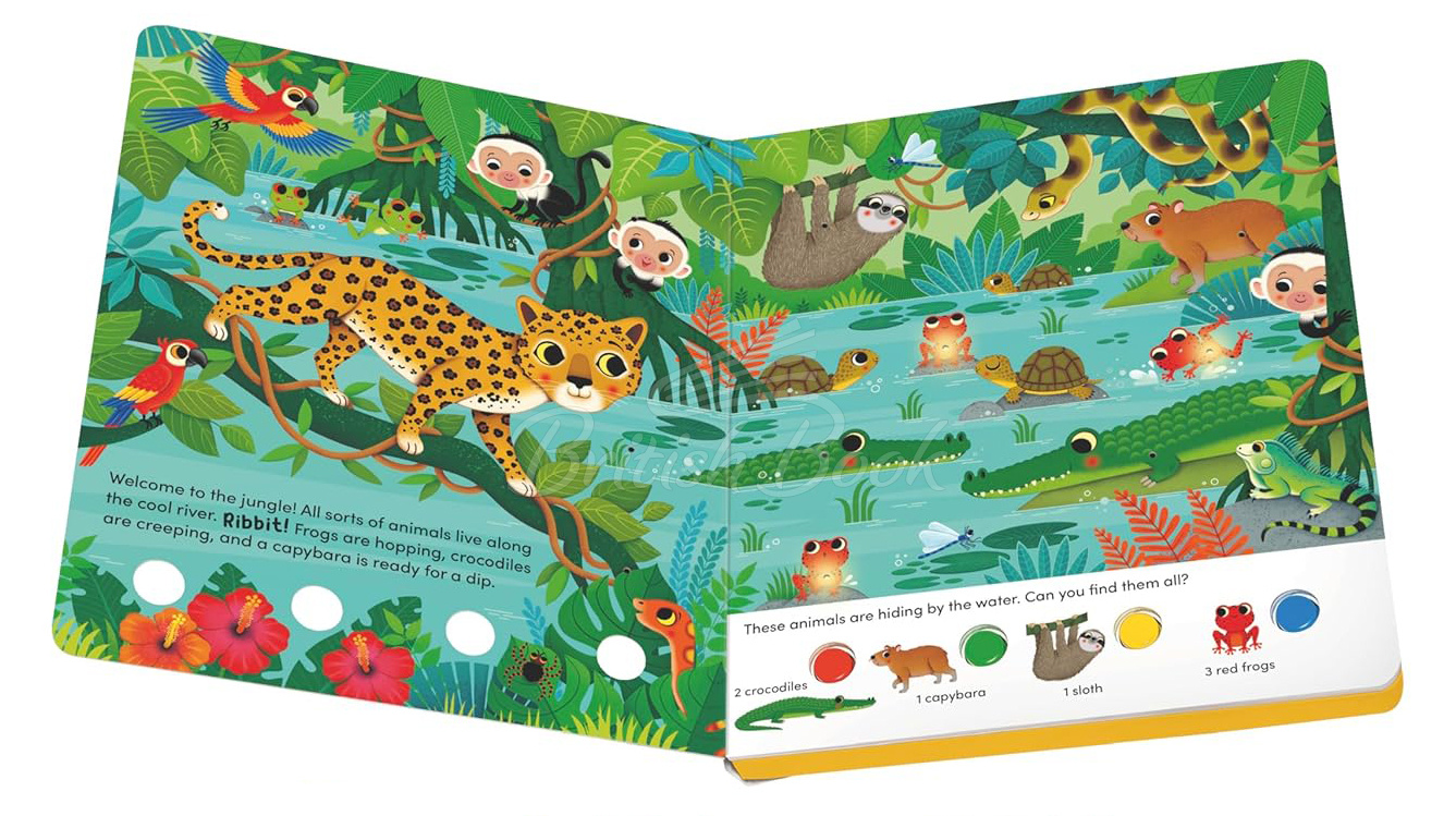 Книга Search and Shine: In The Jungle зображення 2
