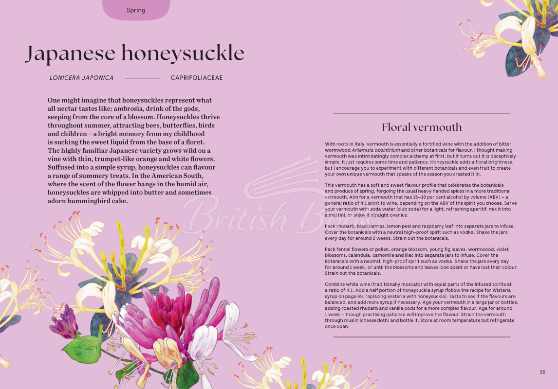 Книга Blossom: Practical and Creative Ways to Find Wonder in the Floral World зображення 5