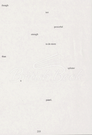 Книга House of Leaves зображення 3