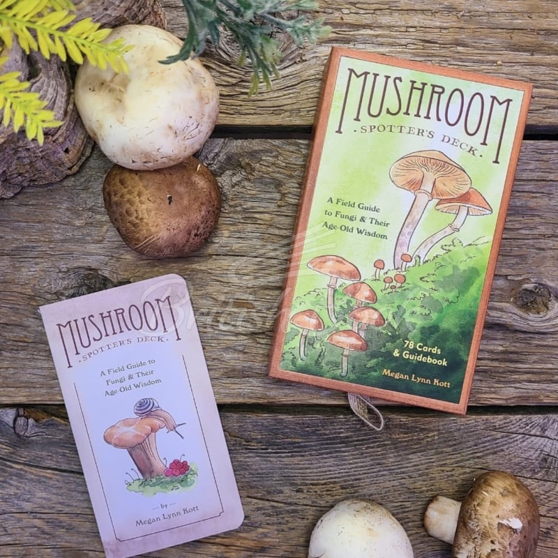 Картки Mushroom Spotter's Deck: A Field Guide to Fungi & Their Age-Old Wisdom зображення 3