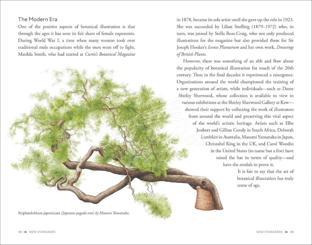 Набір The Kew Gardens Botanical Art Postcards зображення 3
