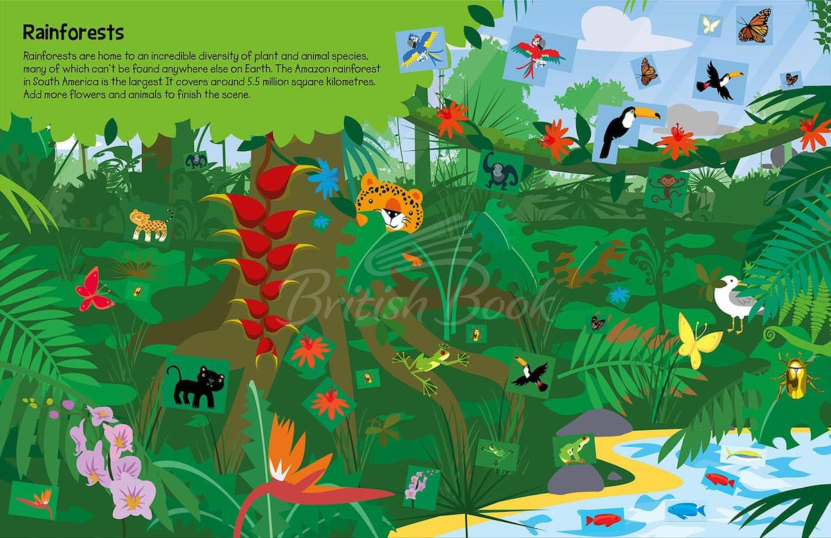 Книга 555 Sticker Fun: Earth зображення 1