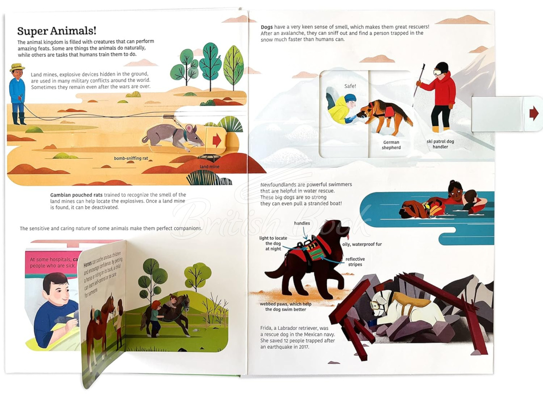 Книга Ultimate Spotlight: Extraordinary Animals зображення 3