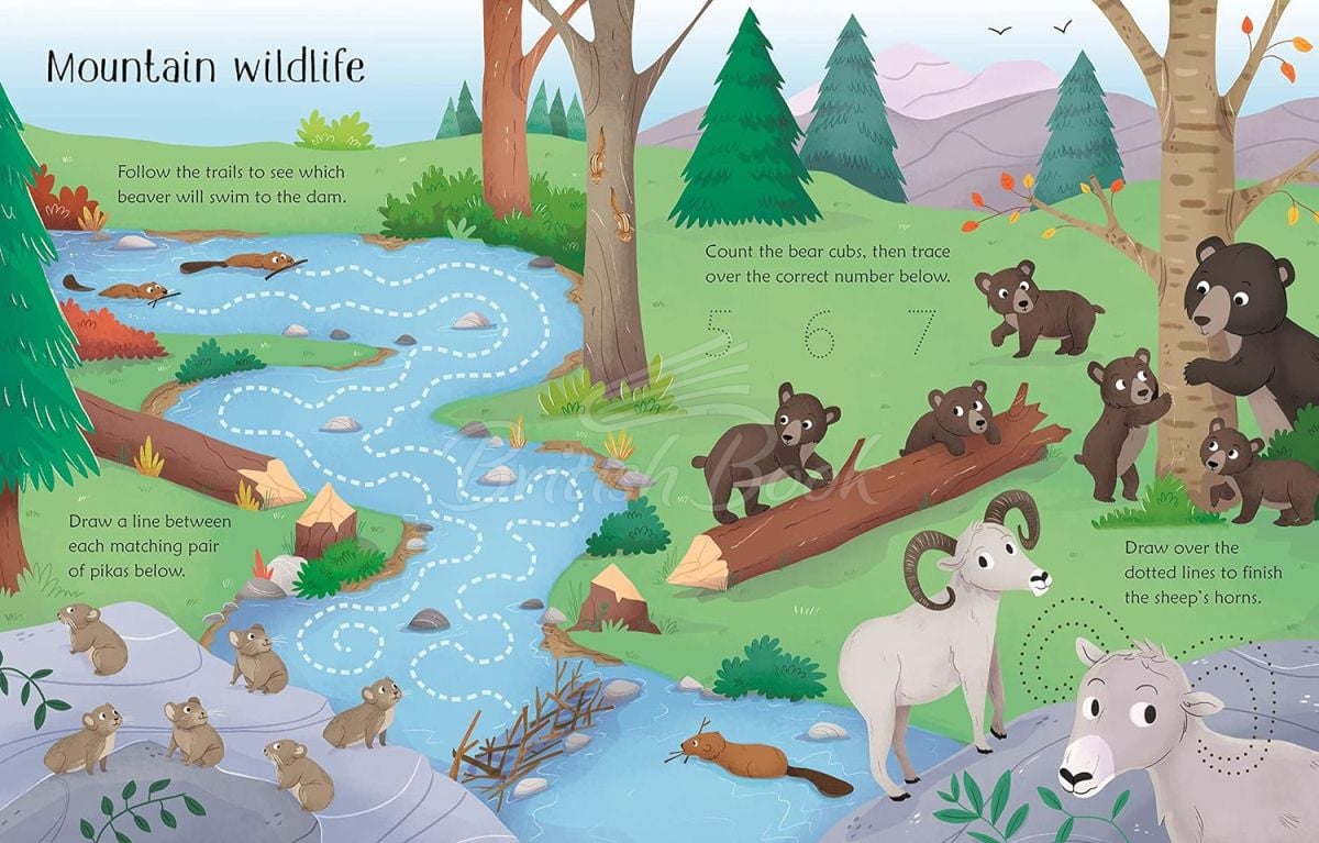 Книга Wipe-Clean Nature Activities изображение 1
