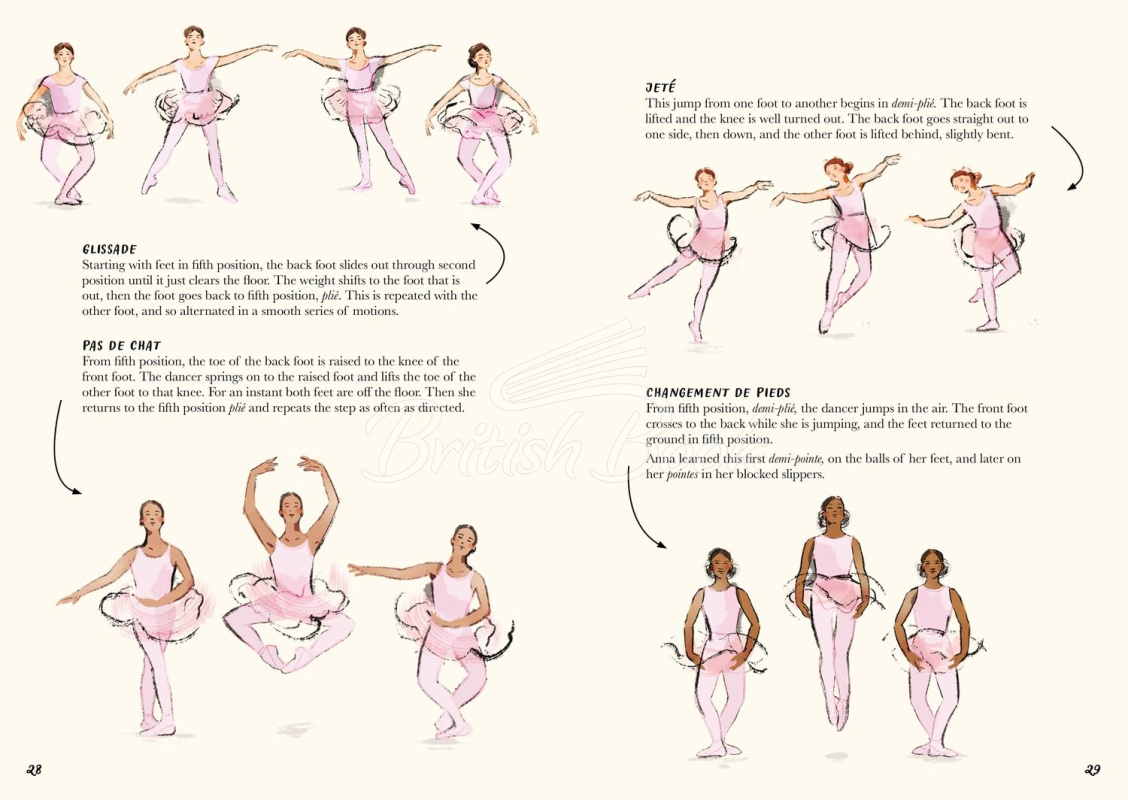 Книга The First Book of the Ballet изображение 3