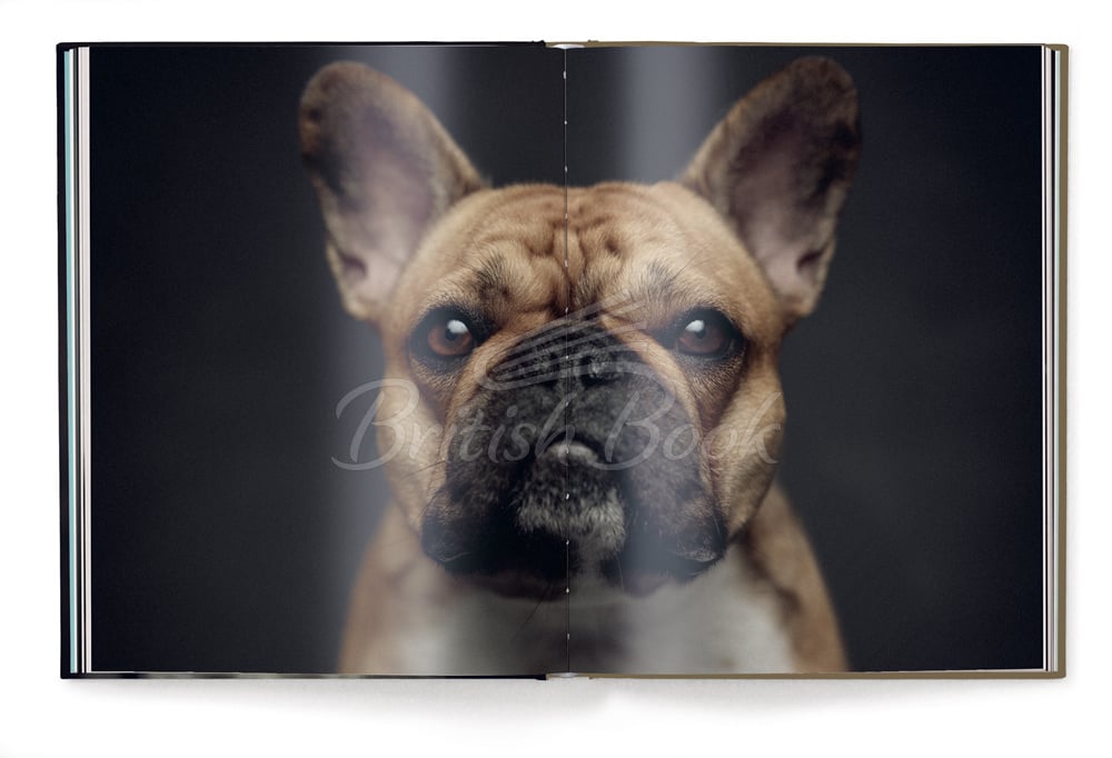 Книга The Dogs: Human Animals изображение 3
