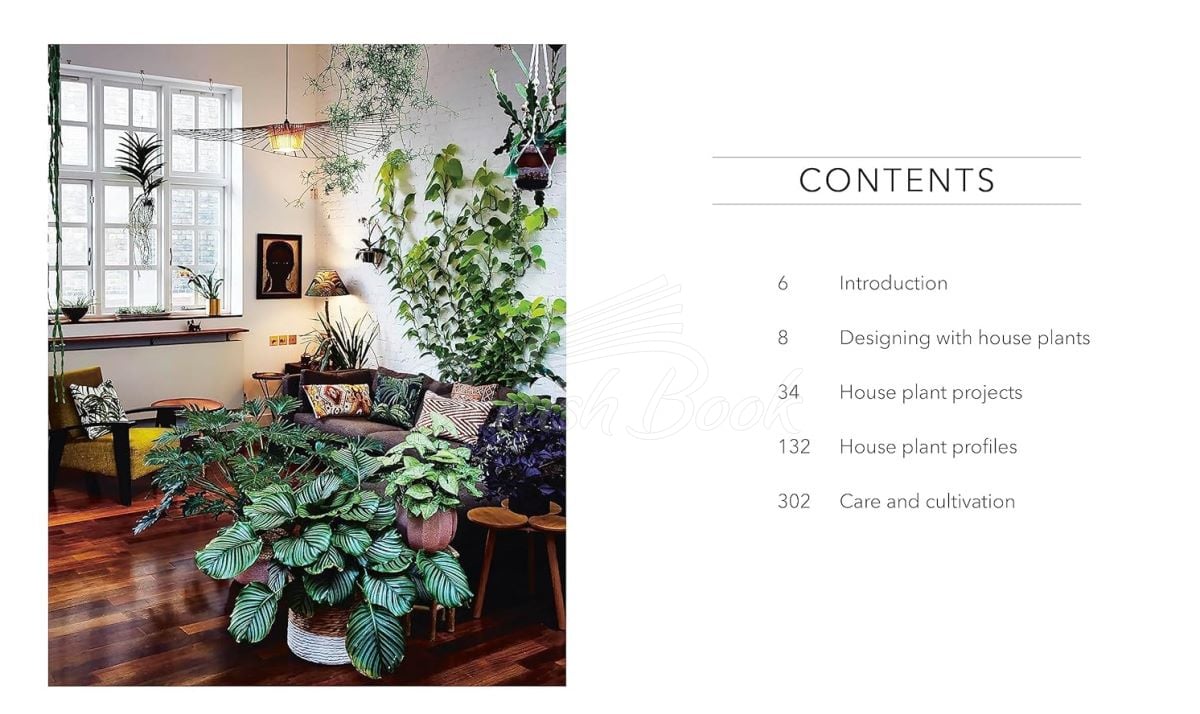 Книга RHS House Plant изображение 2