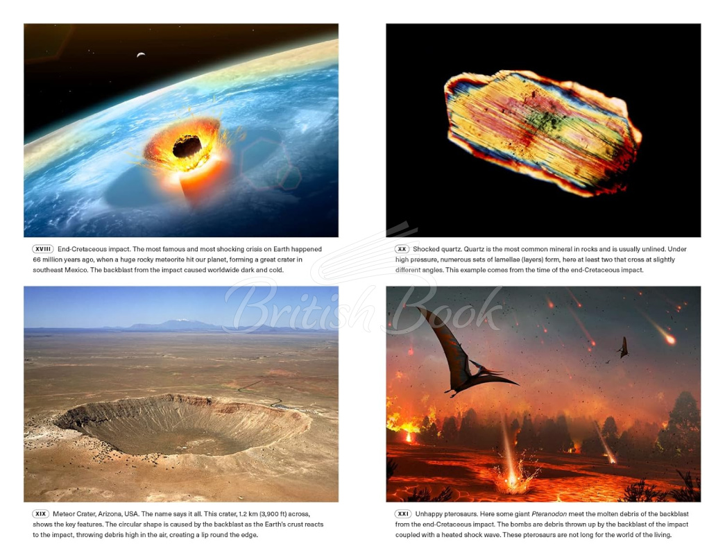 Книга Extinctions: How Life Survives, Adapts and Evolves зображення 9