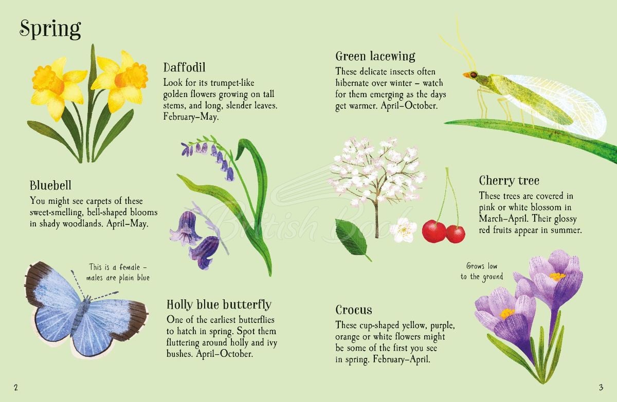 Книга Garden Life to Spot изображение 1