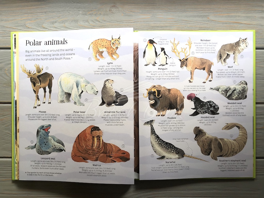 Книга Big Book of Animals зображення 6