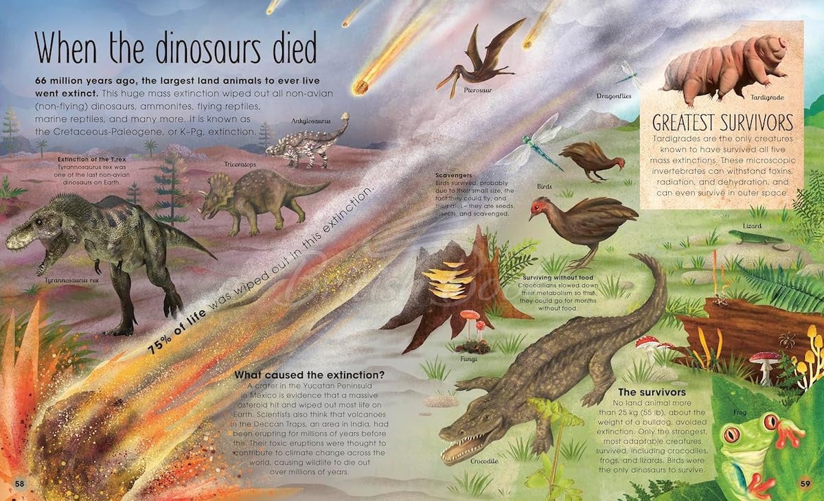 Книга Prehistoric Worlds зображення 5
