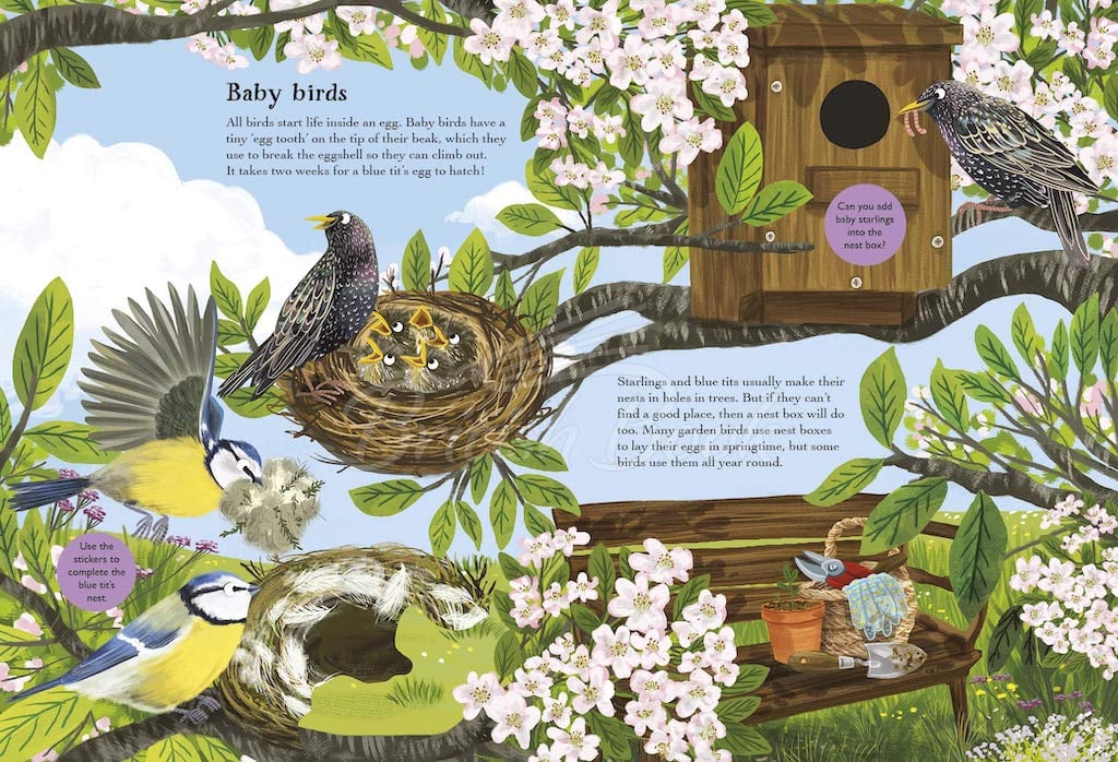 Книга National Trust: A Nature Sticker Book: Robins, Wrens and Other Birds зображення 1