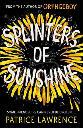 Книга Splinters of Sunshine изображение