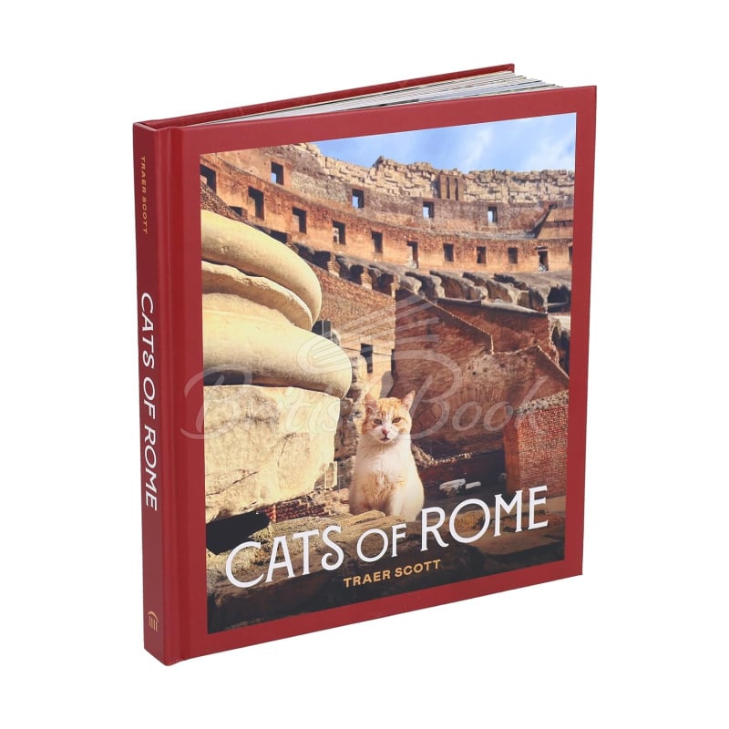 Книга Cats of Rome зображення 1