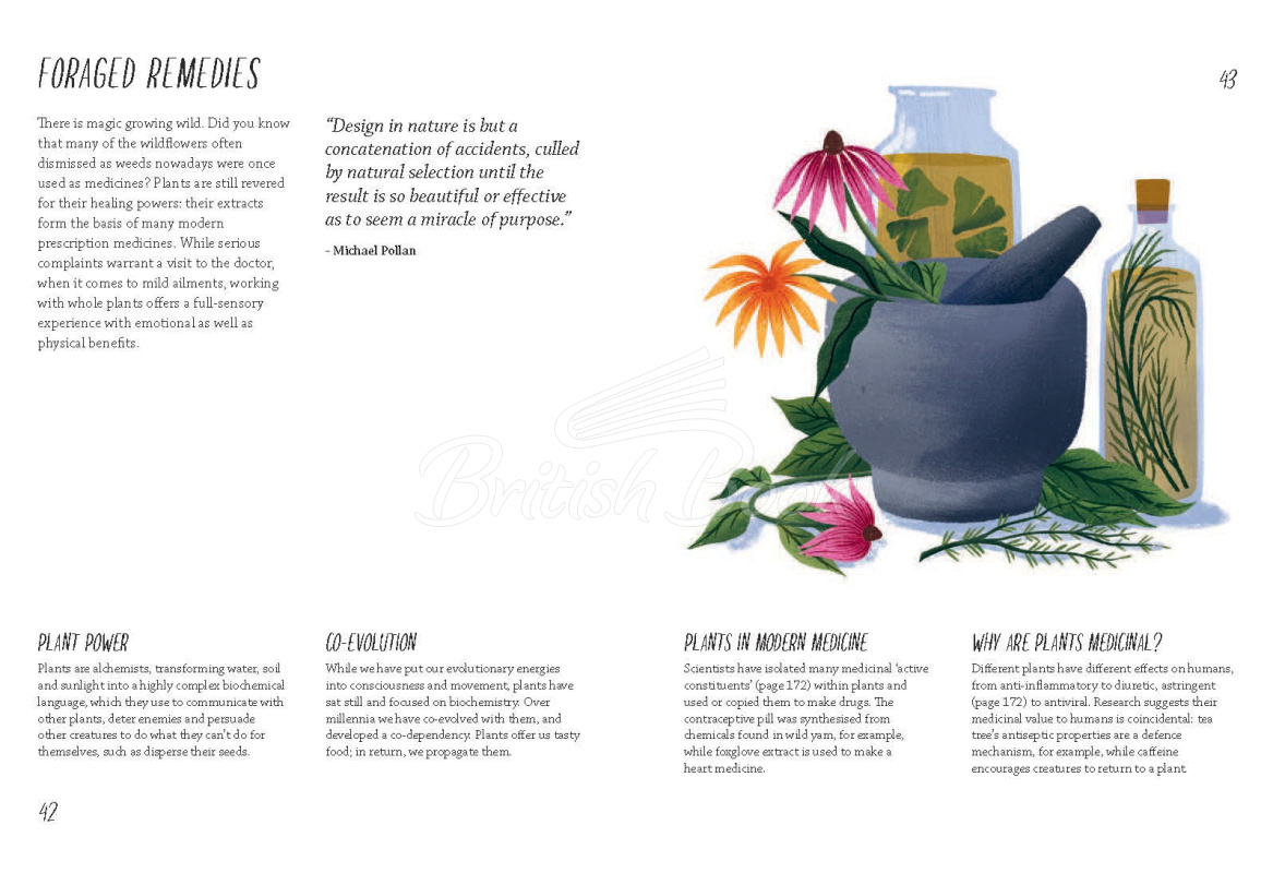 Книга Rewild Your Life: 52 Ways To Reconnect To Nature изображение 7